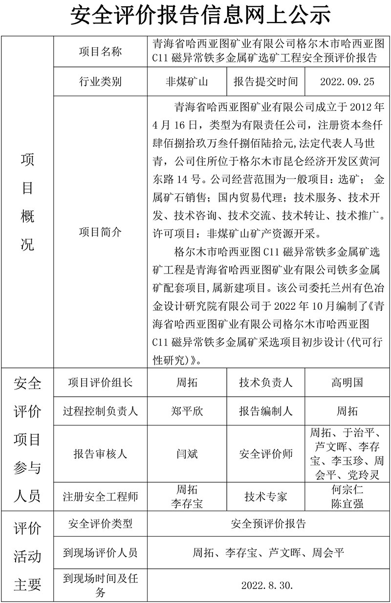 13青海省哈西亚图矿业有限公司格尔木市哈西亚图C11磁异常铁多金属矿选矿工程安全预评价报告-1.jpg