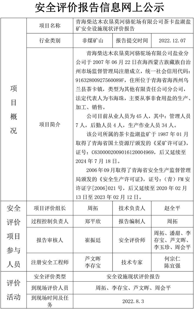 9青海柴达木农垦莫河骆驼场有限公司茶卡盐湖盐矿安全设施现状评价报告-1.jpg