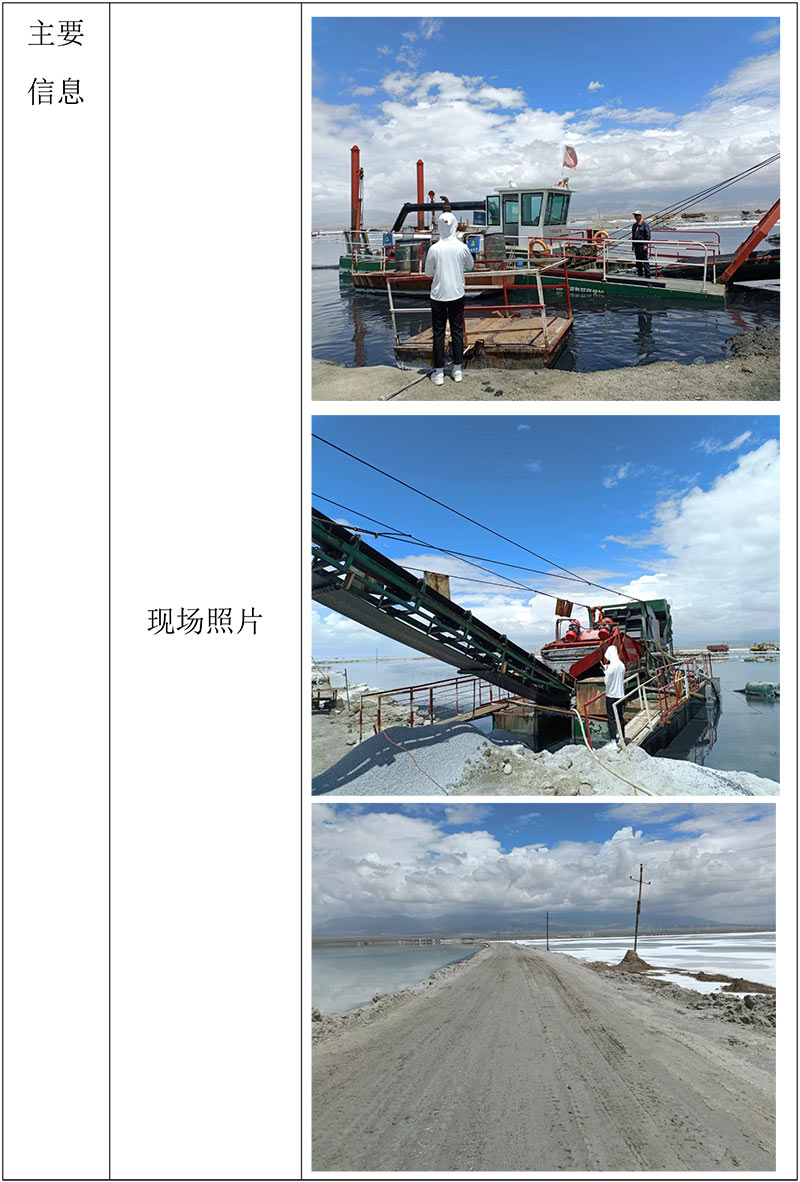 9青海柴达木农垦莫河骆驼场有限公司茶卡盐湖盐矿安全设施现状评价报告-2.jpg