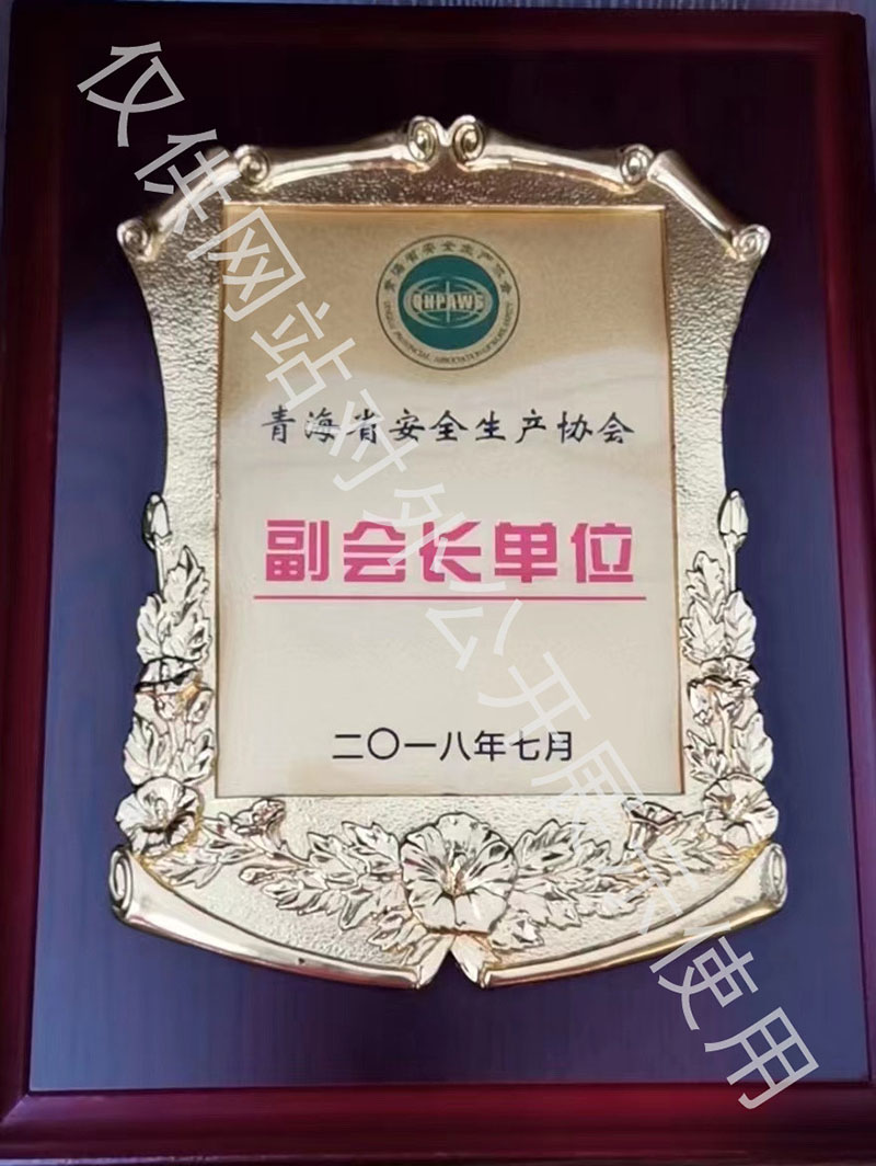 青海省安全生产协会副会长单位.jpg