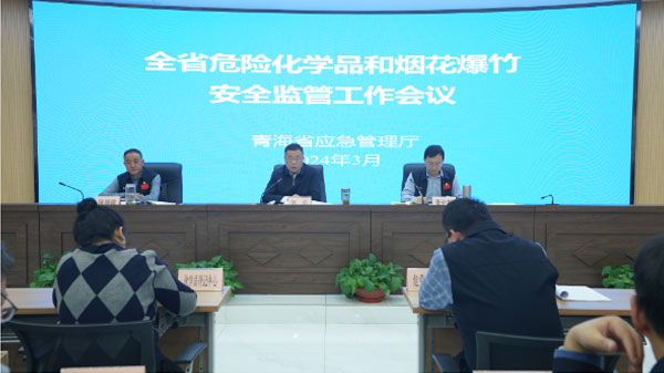 全省危险化学品和烟花爆竹安全监管工作视频会议在西宁召开.jpg