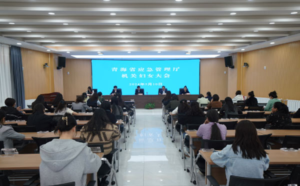 省应急管理厅召开妇女大会暨妇委会换届选举会议.jpg
