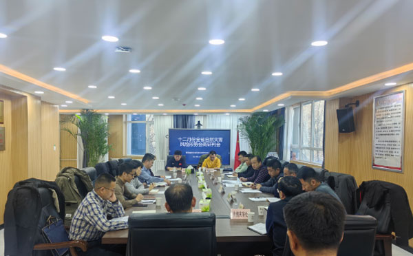 省防灾减灾救灾委员会办公室召开十二月份全省自然灾害风险形势会商研判会.jpg
