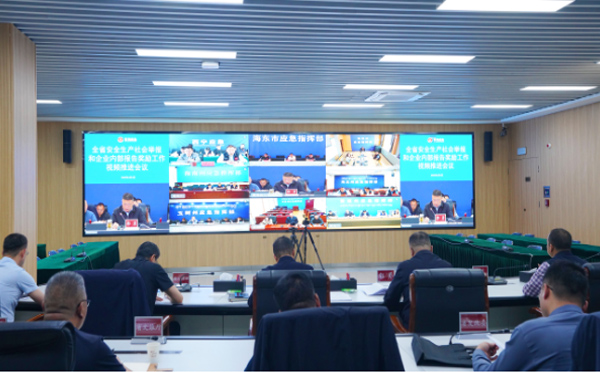 激发全民监督活力 筑牢安全共治防线——省安委会办公室召开全省安全生产社会举报和 企业内部报告奖励工作视频推进会议.jpg